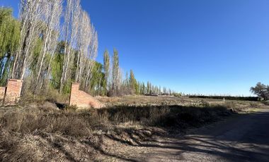 Terreno de 1 Ha en  Cuadro Benegas, calle El Moro
