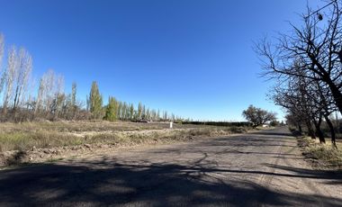 Terreno de 1 Ha en  Cuadro Benegas, calle El Moro