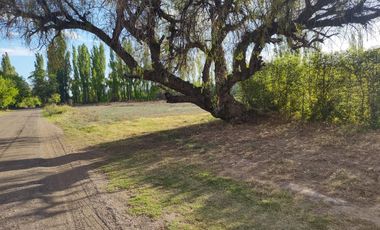 Terreno de 1 Ha en  Cuadro Benegas, calle El Moro