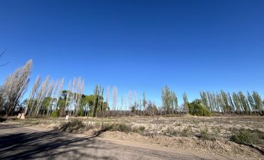 Terreno de 1 Ha en  Cuadro Benegas, calle El Moro