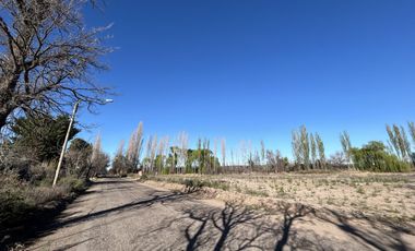 Terreno de 1 Ha en  Cuadro Benegas, calle El Moro