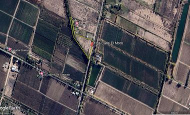 Terreno de 1 Ha en  Cuadro Benegas, calle El Moro