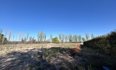 Terreno de 1 Ha en  Cuadro Benegas, calle El Moro