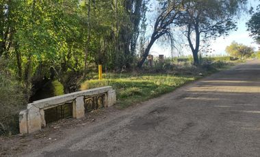 Terreno de 1 Ha en  Cuadro Benegas, calle El Moro
