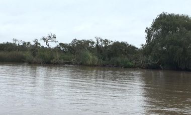 Cuatro Terrenos en venta en block en Río Urion Tigre
