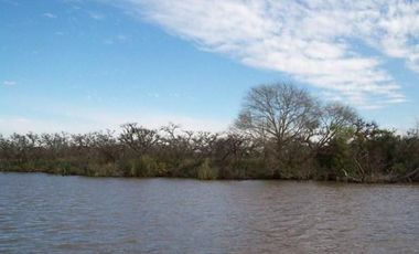 Cuatro Terrenos en venta en block en Río Urion Tigre