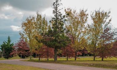 Estancia La Rinconada- Terrenos de 1000 m2 en barrio privado en Ibarlucea, a 25' de Rosario, ruta 34