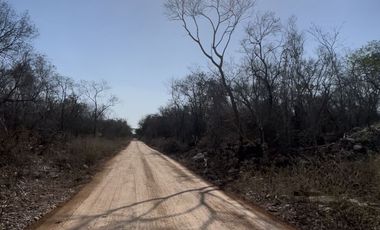 Terreno en Venta en Celestun!