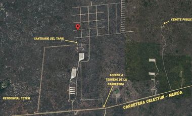 Terreno en Venta en Celestun!