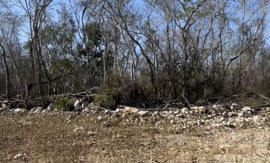 Terreno en Venta en Celestun!