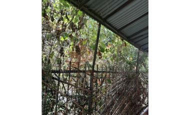 ARRIENDO CASA EN SAN JERONIMO