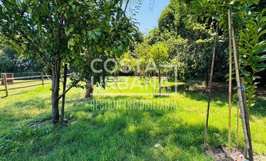 Hermosa parcela en Pocochay, La Cruz