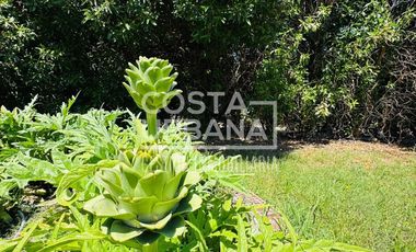 Hermosa parcela en Pocochay, La Cruz