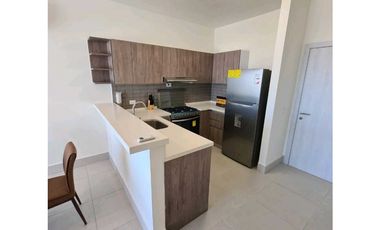 ALQUILER APARTAMENTO AMOBLADO 2 RECMARAS PH COCO PLACE COCO DEL MAR