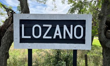VENTA LOCAL CHACRA CASCO PULPERIA - Estación Lozano - Gral. Las Heras