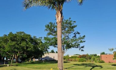 Terreno en venta - 1.264Mts2 - Ingeniero Maschwitz