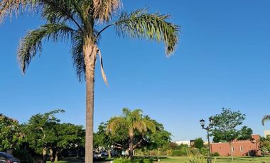 Terreno en venta - 1.264Mts2 - Ingeniero Maschwitz