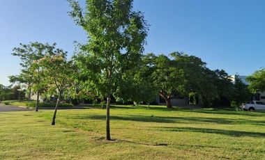 Terreno en venta - 1.264Mts2 - Ingeniero Maschwitz