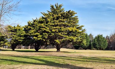 LOTE de terreno en VENTA, La Rinconada, Ibarlucea.
