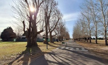 LOTE de terreno en VENTA, La Rinconada, Ibarlucea.