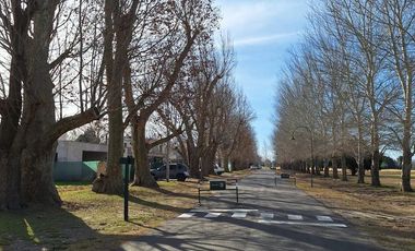 LOTE de terreno en VENTA, La Rinconada, Ibarlucea.