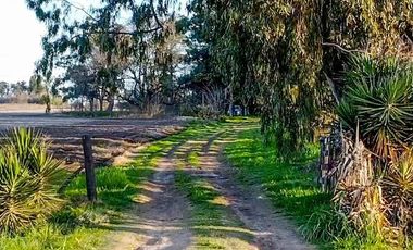 Chacra en  SAN MIGUEL DEL MONTE
