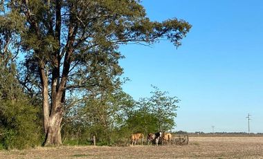 Chacra en  SAN MIGUEL DEL MONTE