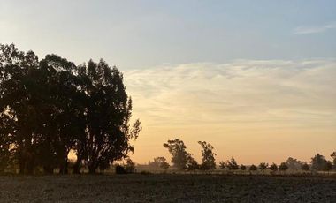 Chacra en  SAN MIGUEL DEL MONTE
