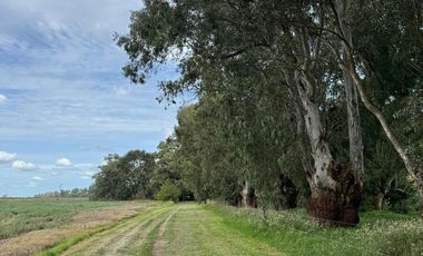 Chacra en  SAN MIGUEL DEL MONTE