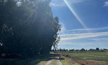 Chacra en  SAN MIGUEL DEL MONTE