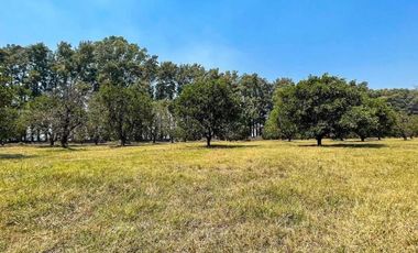 Terreno en  Fighiera