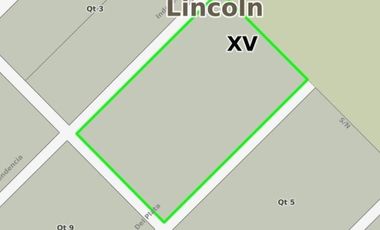 Quinta en venta - 1 Galpón - 7,7 Hectáreas - Lincoln