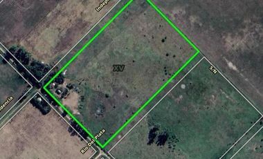 Quinta en venta - 1 Galpón - 7,7 Hectáreas - Lincoln