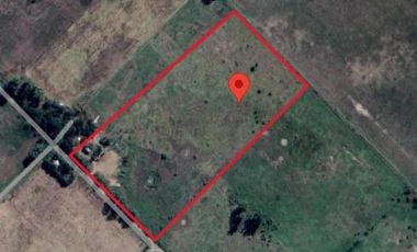 Quinta en venta - 1 Galpón - 7,7 Hectáreas - Lincoln