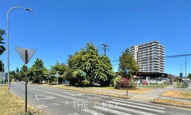 Local Comercial en Arriendo en Martin Lutero - Avenida los Pablos