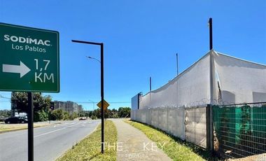 Local Comercial en Arriendo en Martin Lutero - Avenida los Pablos
