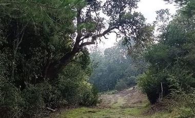 Parcela en Venta en Ruta Q-30, Camino La mona,Los Angeles VIII Region