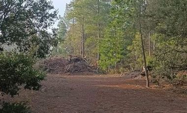 Parcela en Venta en Ruta Q-30, Camino La mona,Los Angeles VIII Region