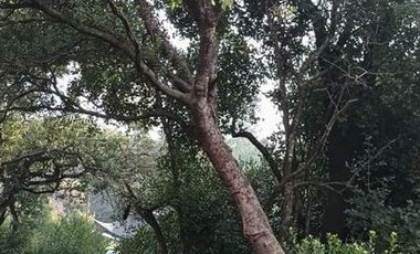 Parcela en Venta en Ruta Q-30, Camino La mona,Los Angeles VIII Region