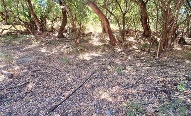 Parcela en Venta en Ruta Q-30, Camino La mona,Los Angeles VIII Region