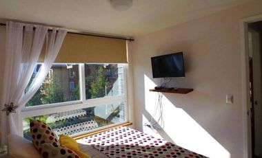 depa arriendo diario Marzo en Pucón