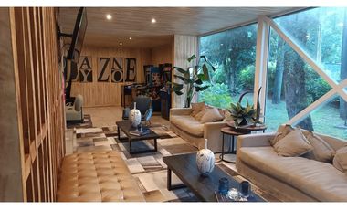 depa arriendo diario Marzo en Pucón