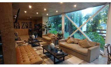 depa arriendo diario Marzo en Pucón