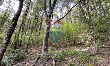Parcela en venta en Rinconada de Pucón, Curarrehue