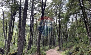 Parcela en venta en Rinconada de Pucón, Curarrehue