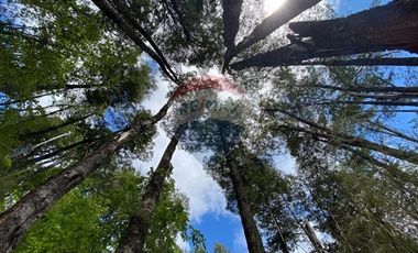 Parcela en venta en Rinconada de Pucón, Curarrehue