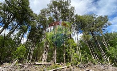 Parcela en venta en Rinconada de Pucón, Curarrehue