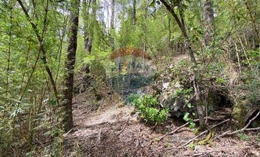 Parcela en venta en Rinconada de Pucón, Curarrehue