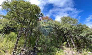 Parcela en venta en Rinconada de Pucón, Curarrehue