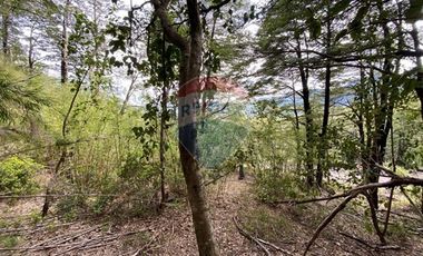 Parcela en venta en Rinconada de Pucón, Curarrehue